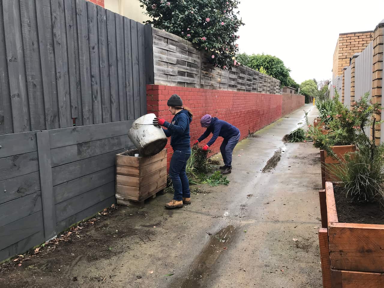 Beautification in the alleys with planter boxes