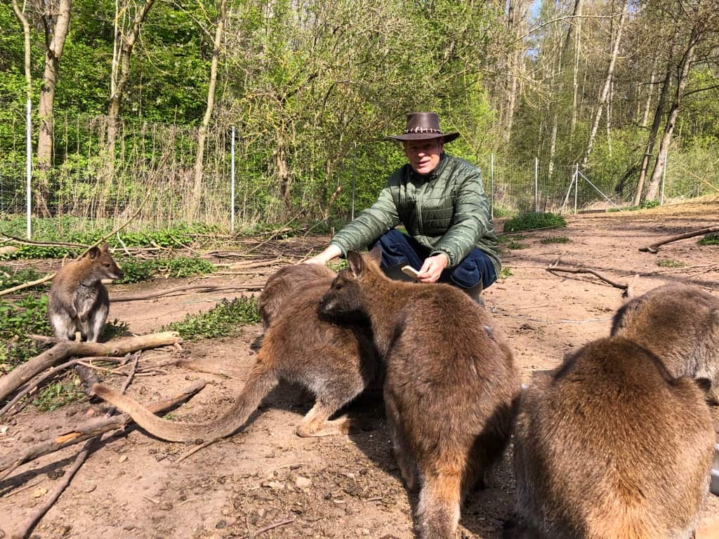 Norbert Lux Wallabies Deutschland Germany