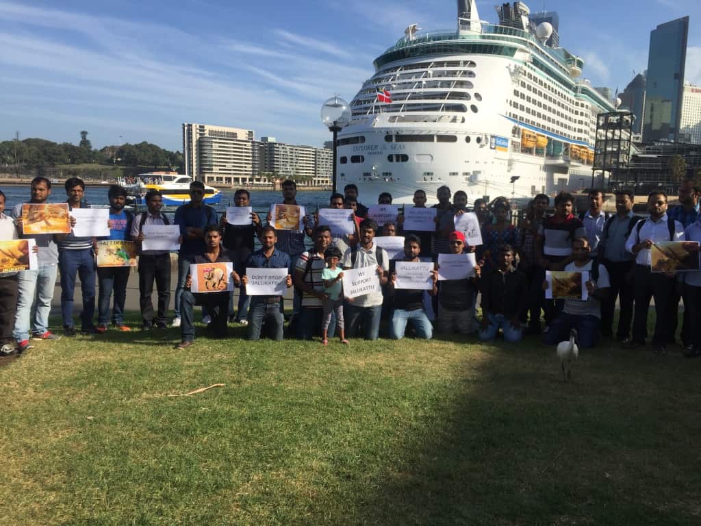 Jallikattu protest Sydney