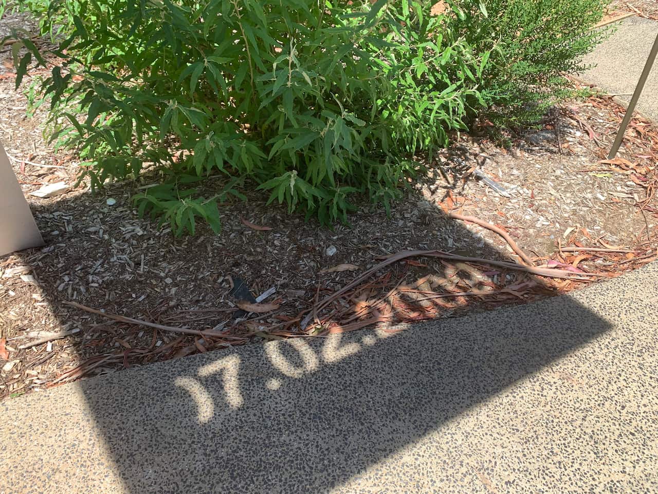 Marysville after Black Saturday