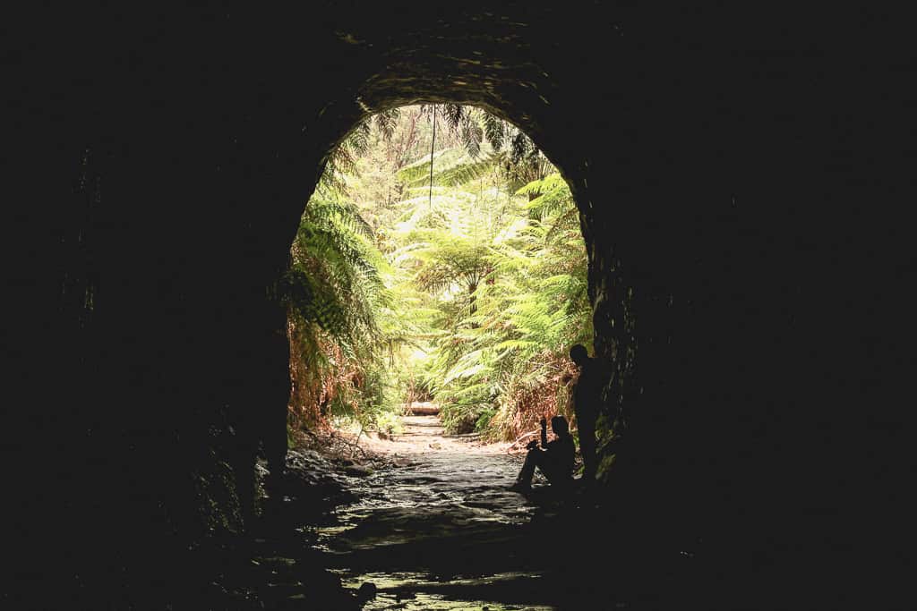 Glow worm Tunnel, Wollemi National Park, NSW
