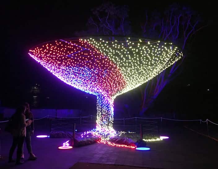 Vivid Sydney