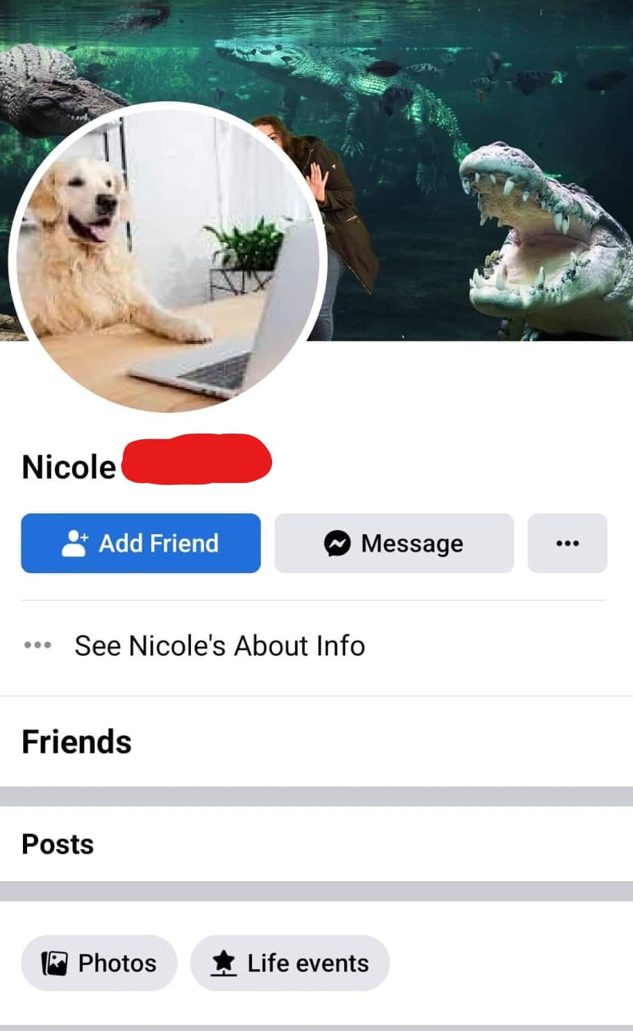 Fotos de animales para evitar robo de identidad