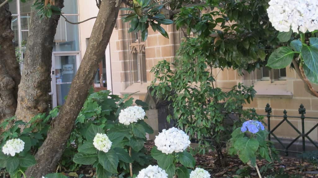 University of Melbourne.
