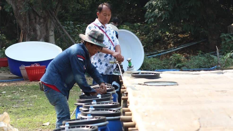 Photo supplied by Toshiyuki Ishiwata