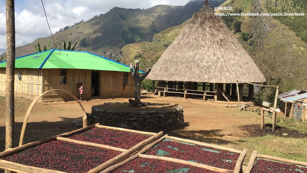 Photo supplied by PARCIC (https://www.parcic.org/)