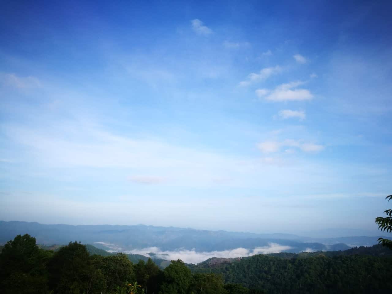 Photo supplied by Toshiyuki Ishiwata