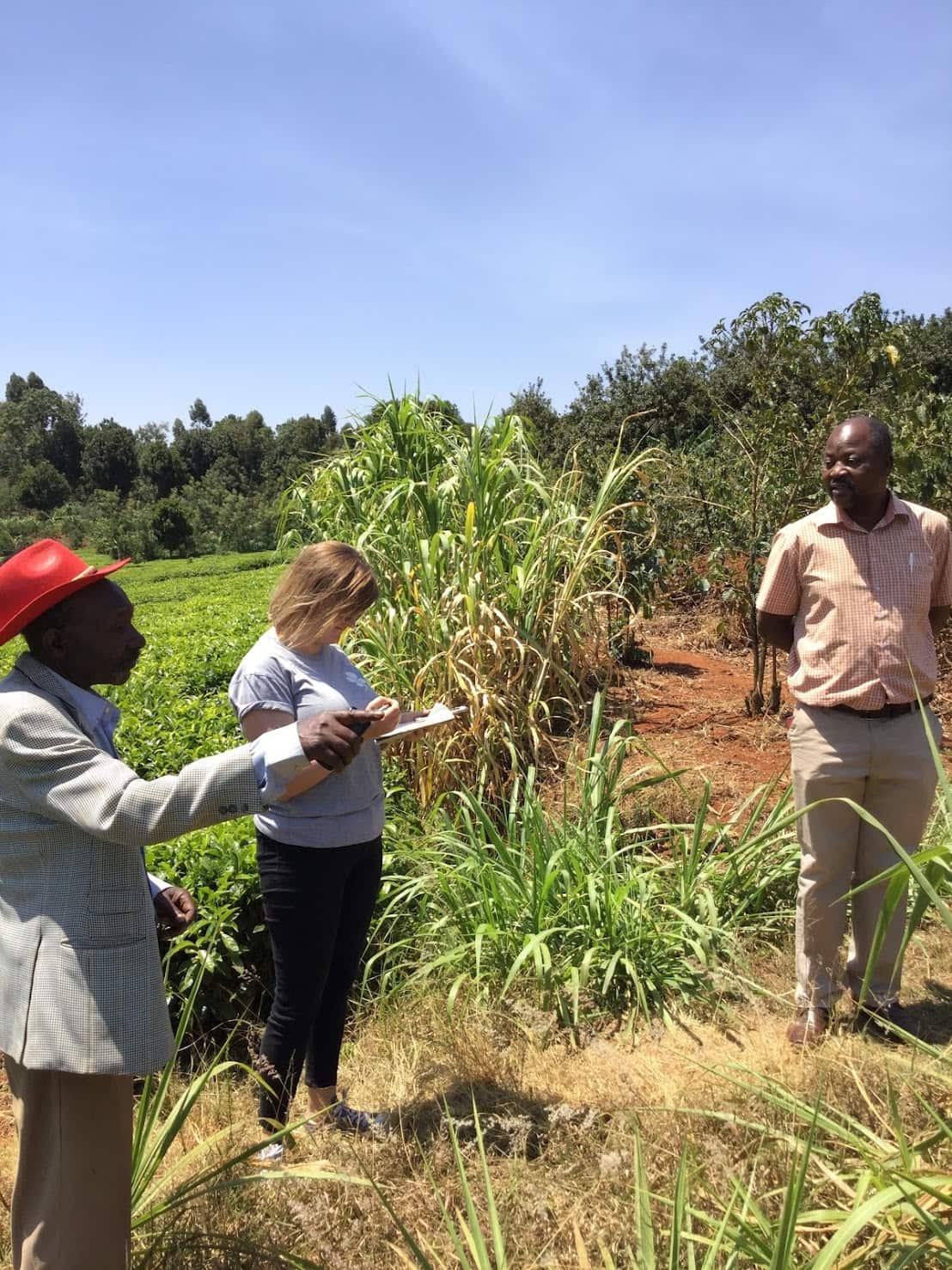 Photo supplied by Toshiyuki Ishiwata