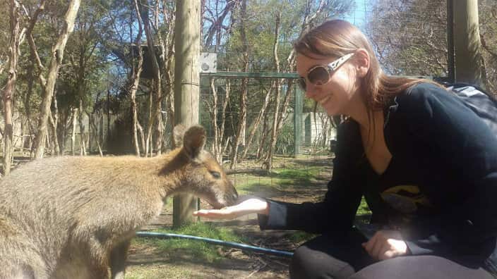 Macedonian Success Stories