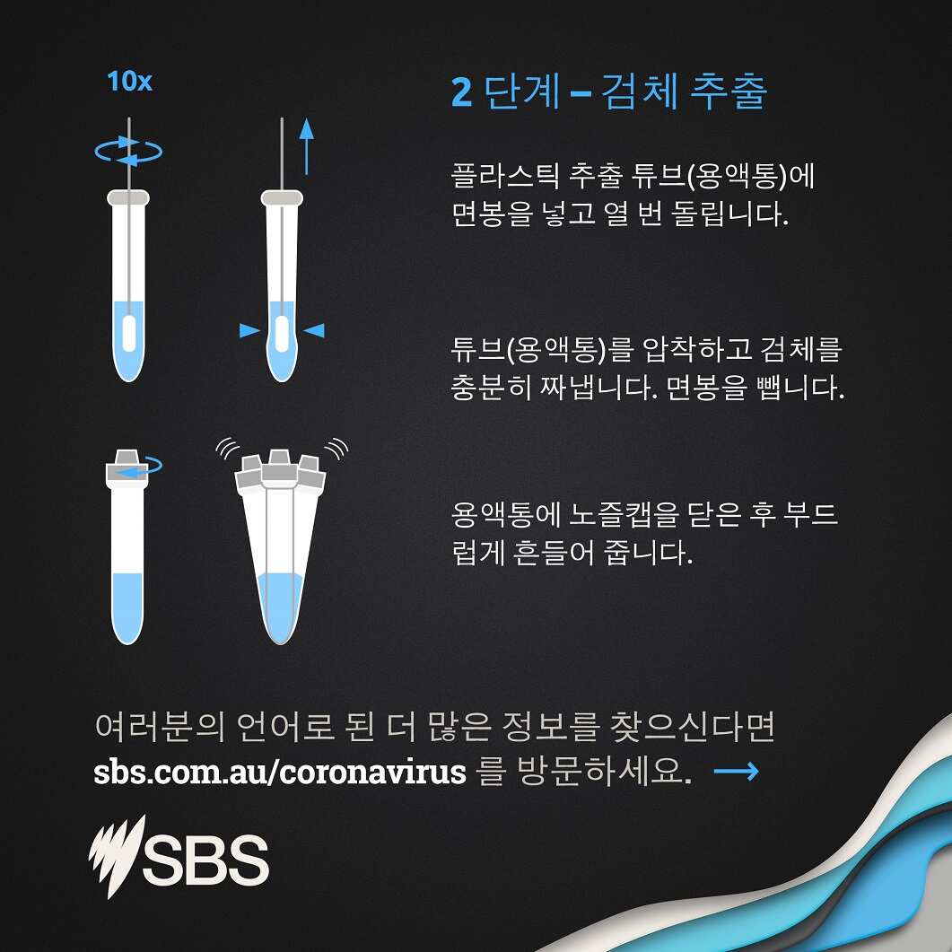 How to do a Rapid Antigen Test in your language