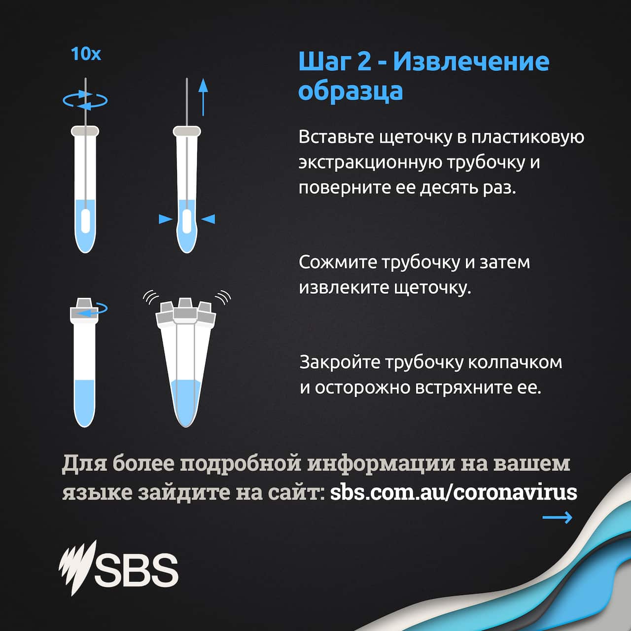 How to do a Rapid Antigen Test in Russian