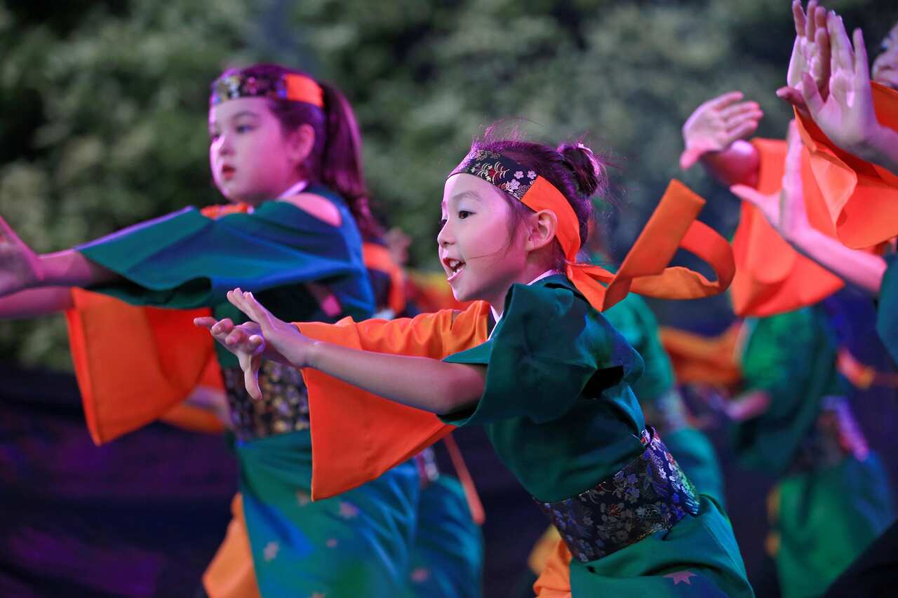 Sydney Chinese New Year Festival 2018