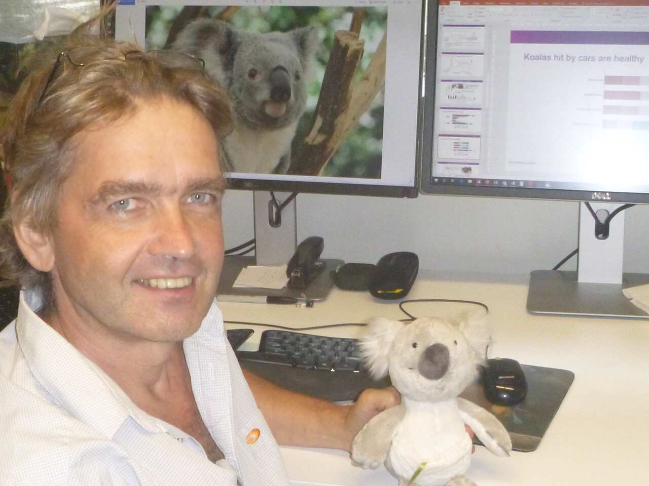 Jörg Henning Koalaforscher Queensland SBS German