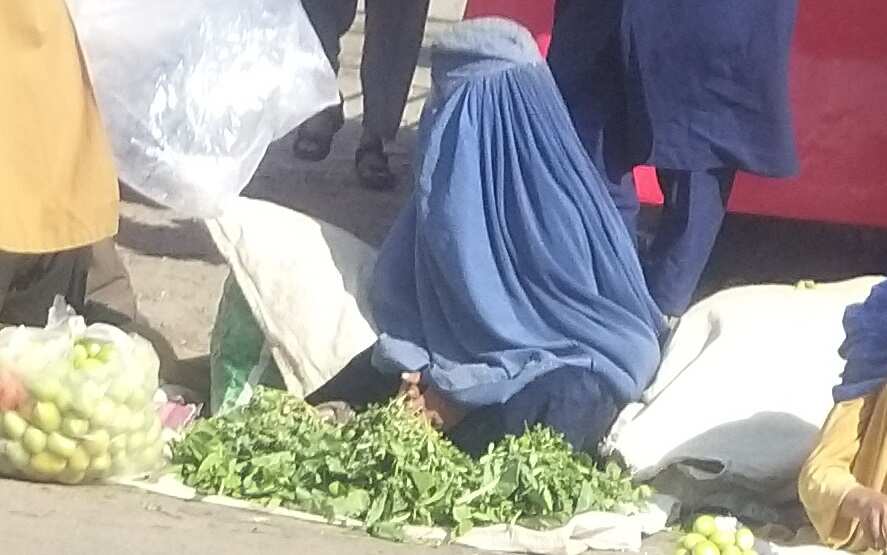 انیسه تا قبل از روی کار آمدن کارمند دولت بود.