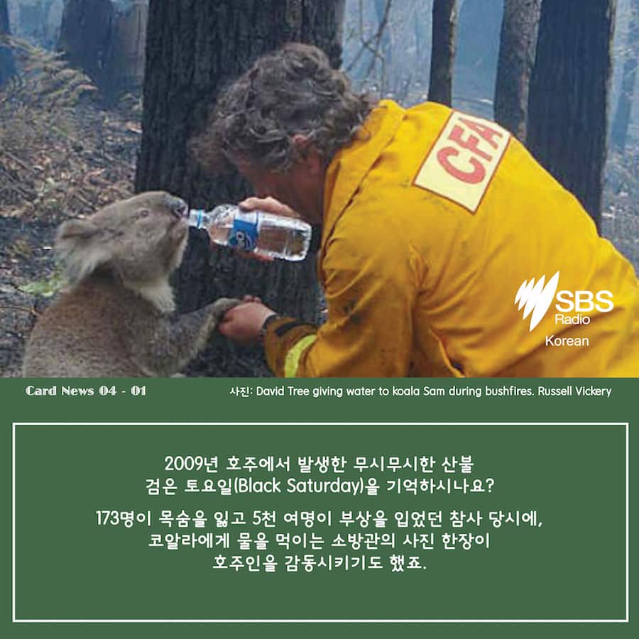 Card News:Black Saturday 