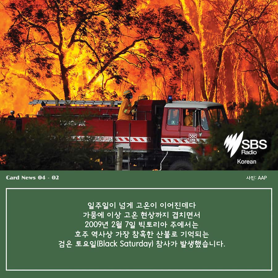 Card News:Black Saturday 