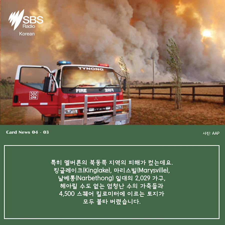 Card News: Black Saturday