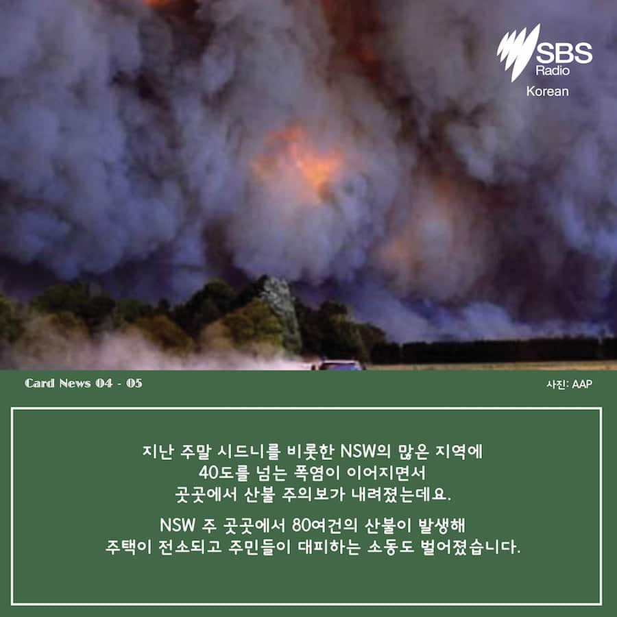 Card News: Black Saturday