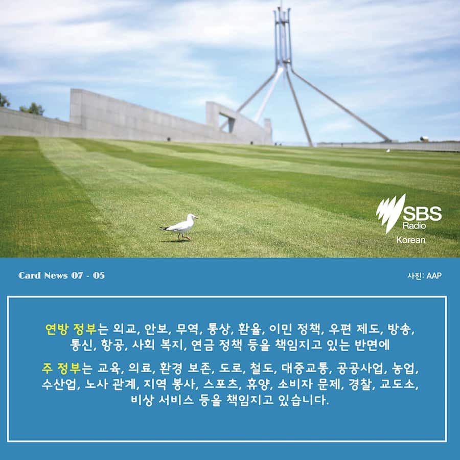 Card News: SBS Korean