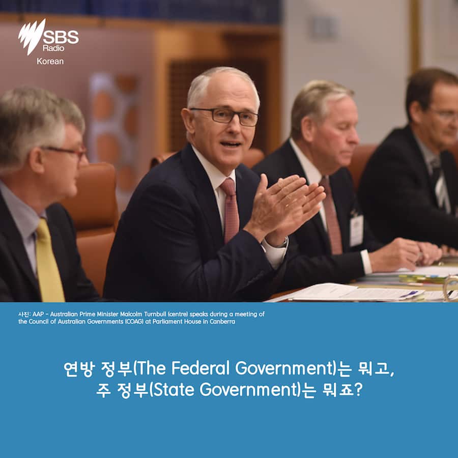 Card News: SBS Korean