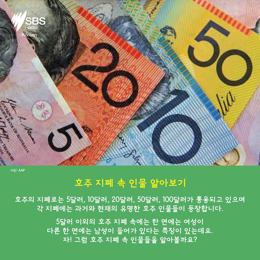 Card News: SBS Korean