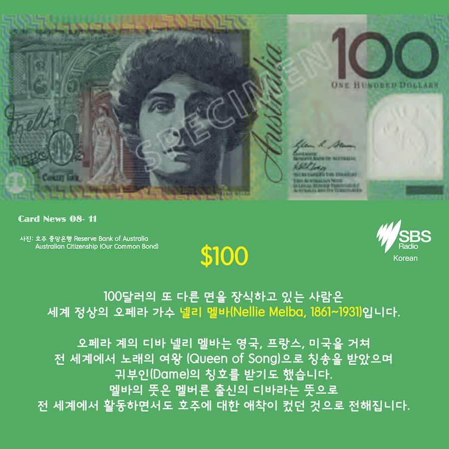 Card News, SBS Korean