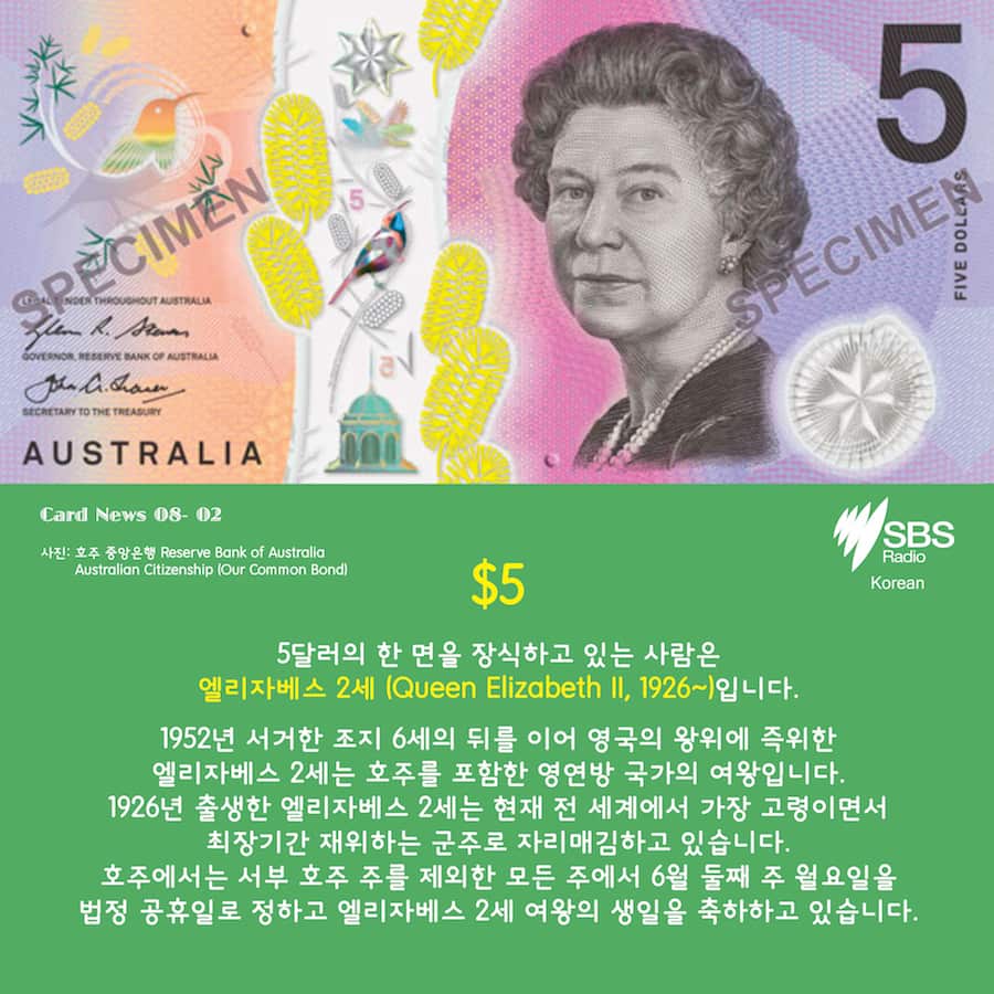 Card News: SBS Korean