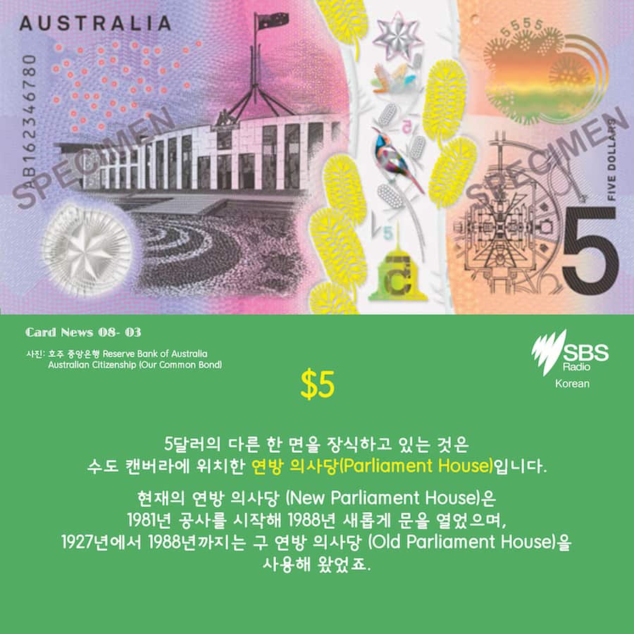 Card News: SBS Korean