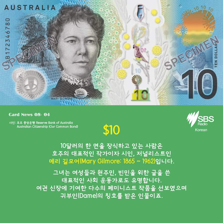 Card News: SBS Korean