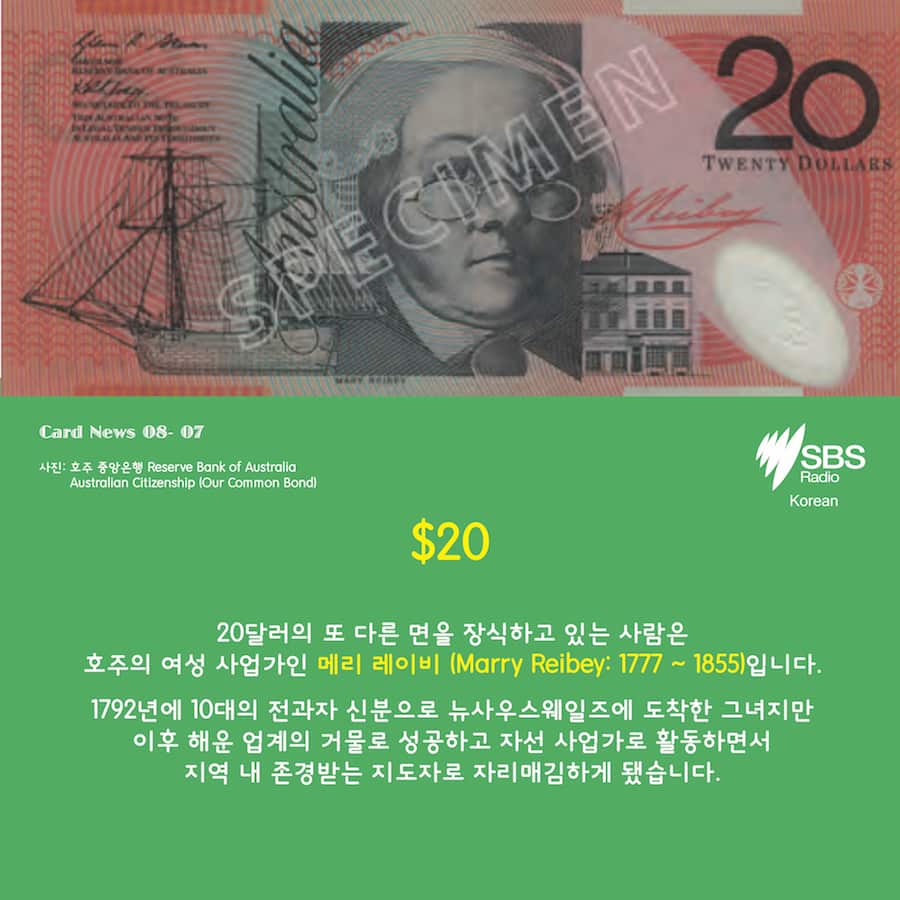 Card News: SBS Korean