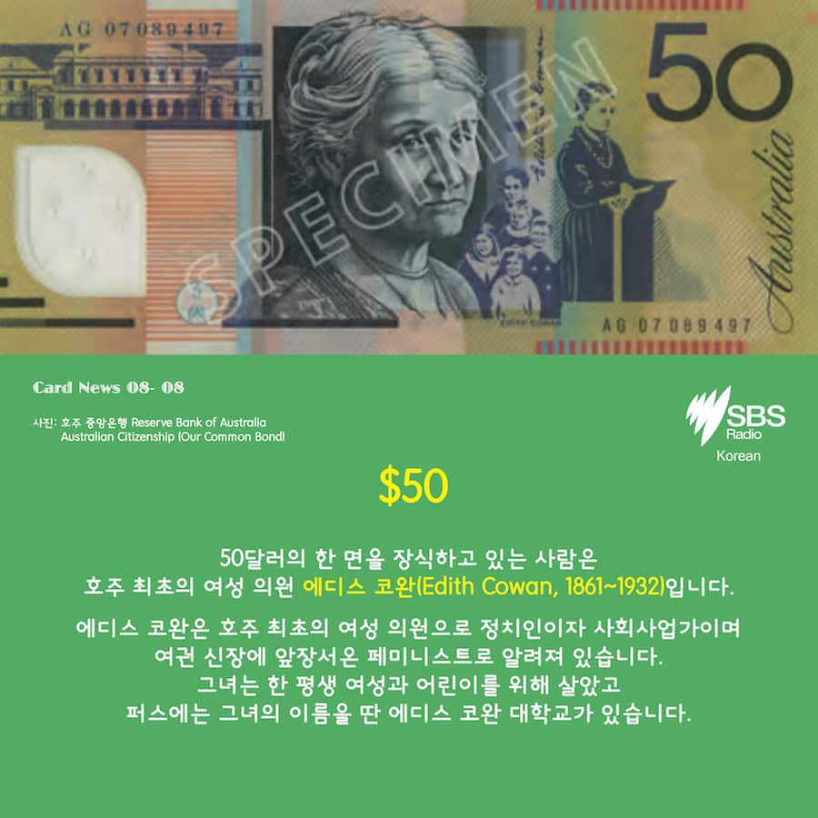 Card News: SBS Korean