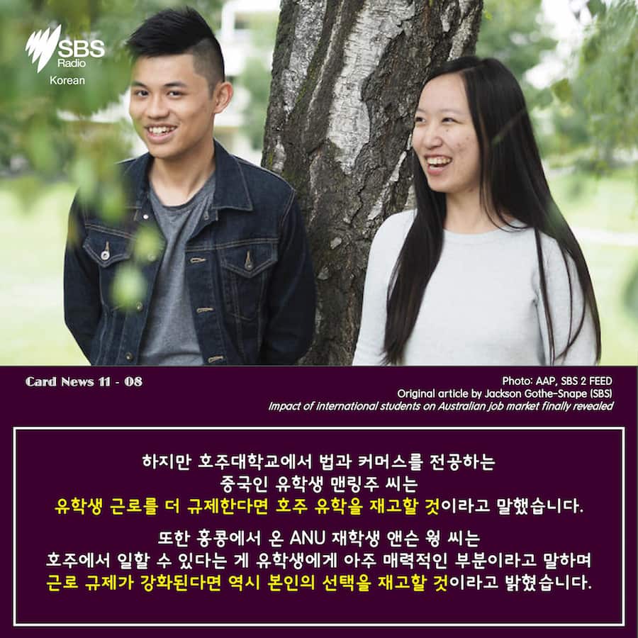 Card News: SBS Korean