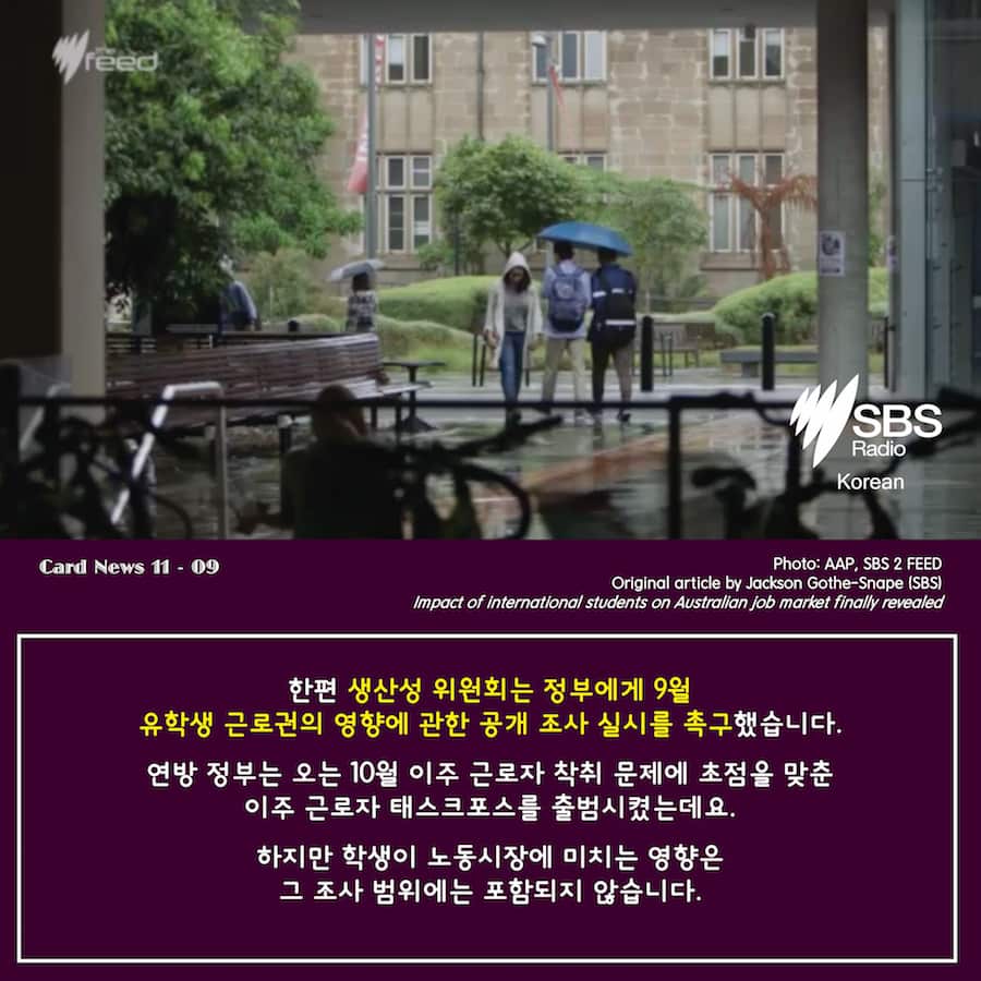 Card News: SBS Korean