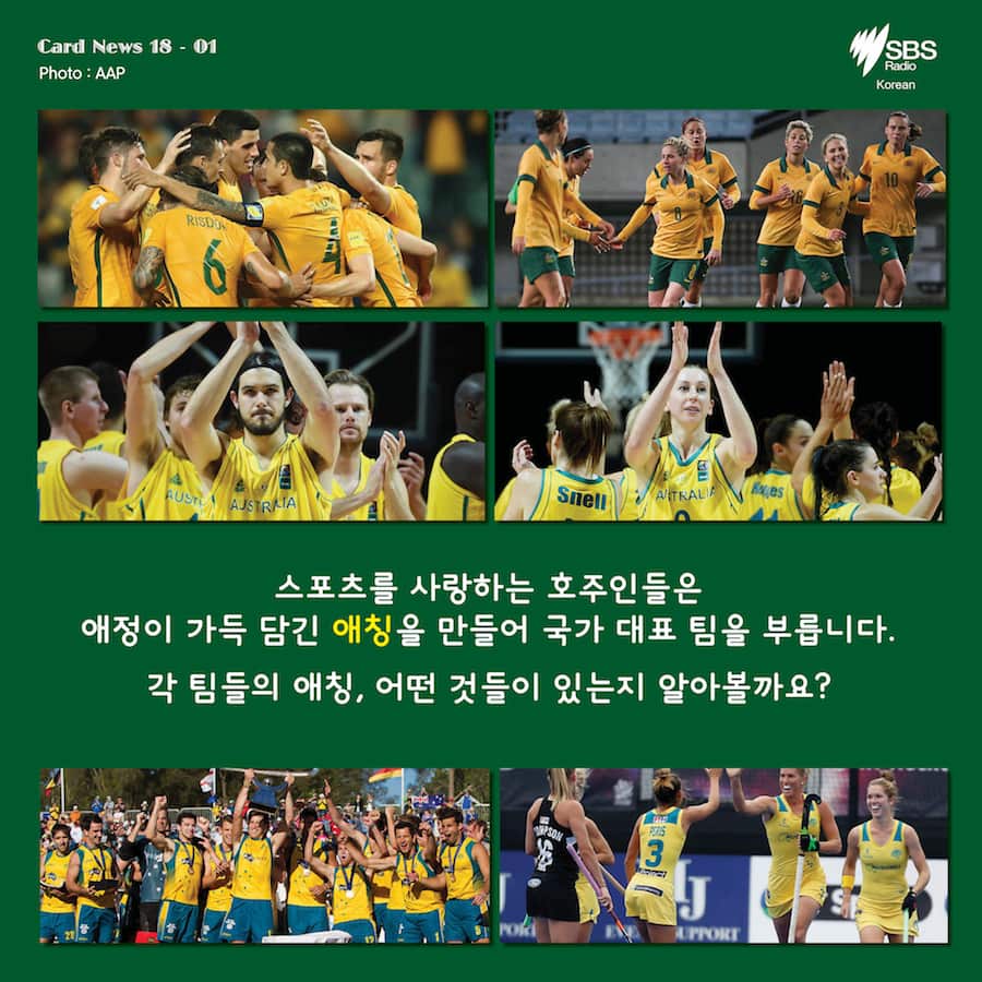 Card News: Do you know nicknames for the Australian national sports team? 