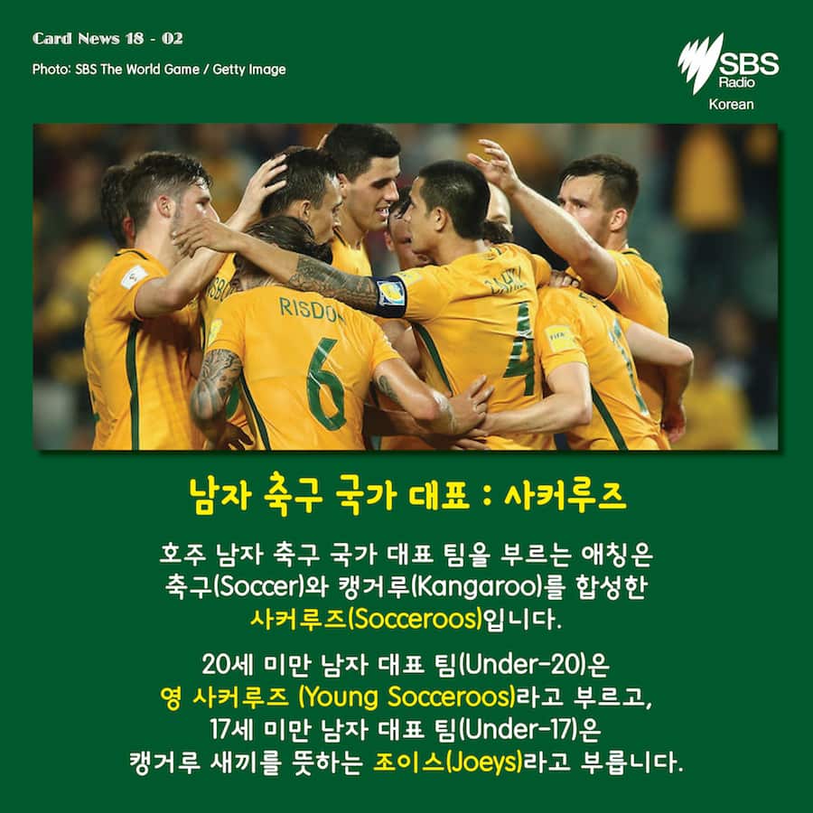 Card News: Do you know nicknames for the Australian national sports team? 