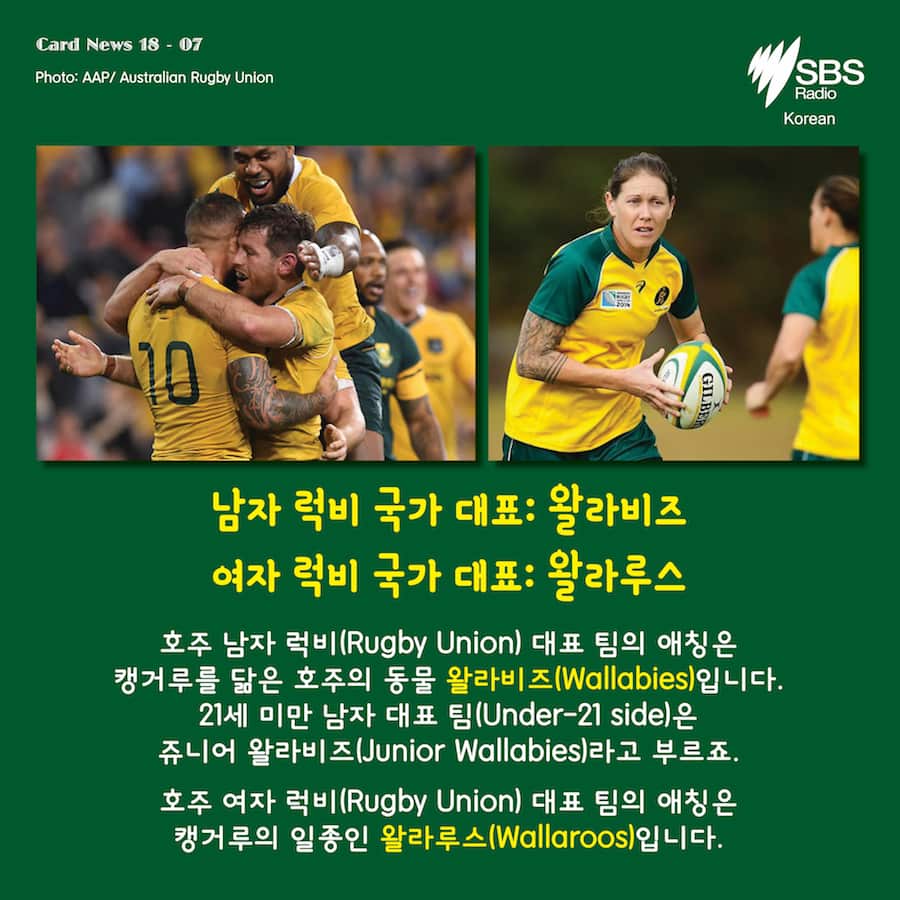 Card News: Do you know nicknames for the Australian national sports team? 