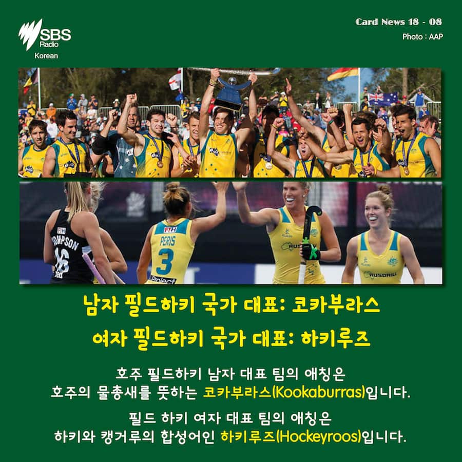 Card News: Do you know nicknames for the Australian national sports team? 