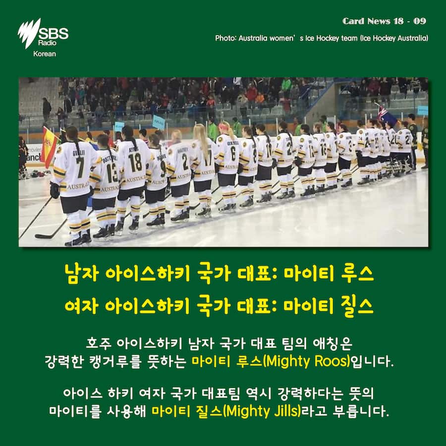 Card News: Do you know nicknames for the Australian national sports team? 