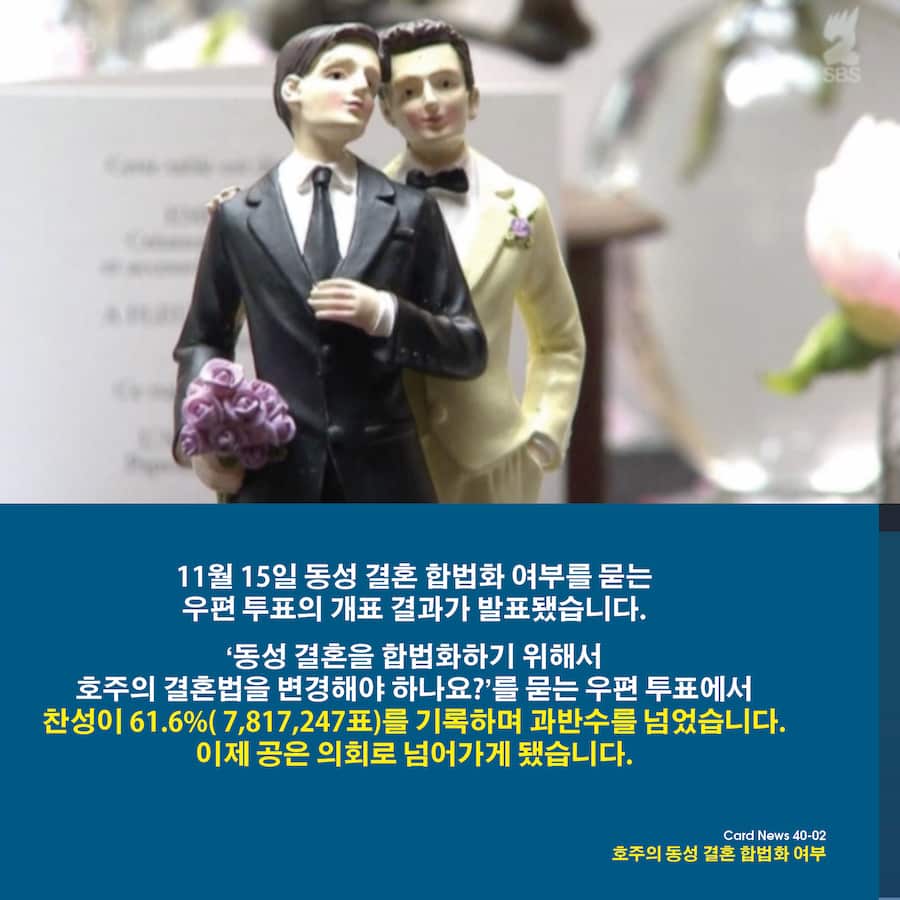 Card News: Same Sex Marriage , Survey results 