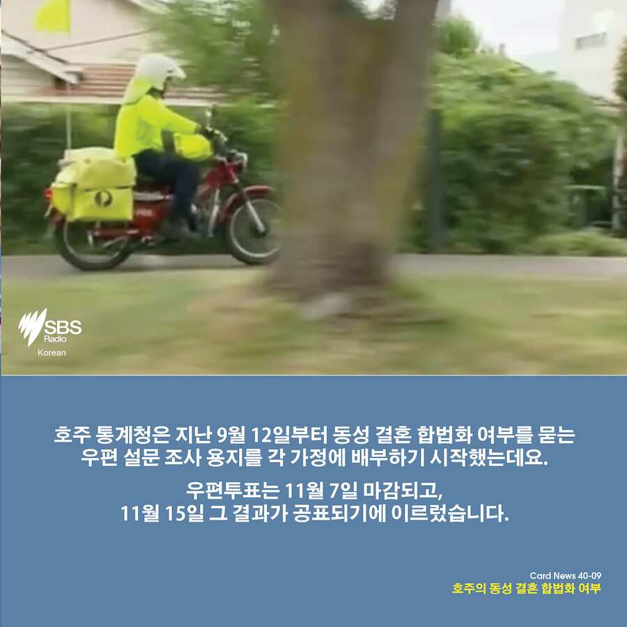 Card News: Same Sex Marriage , Survey results 