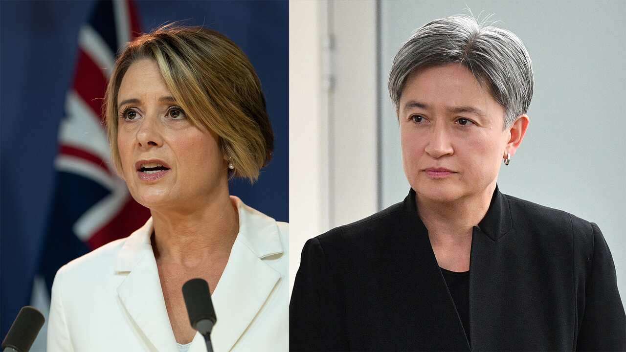 Labor Senators Kristina Keneally and Penny Wong have called on the government to take urgent steps, including arranging charter flights, to help Australians stranded overseas.