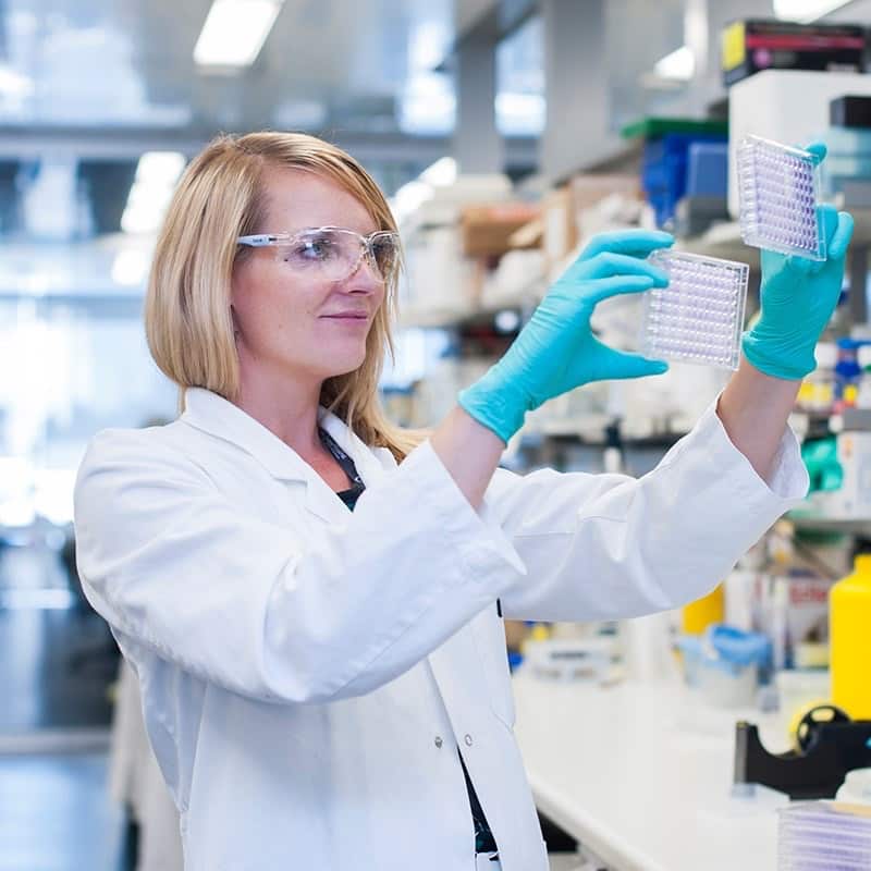 Kerstin Brinkmann Krebsforschung Cancer Research Walter and Eliza Hall Institute of Medical Research WEHI Parkville Melbourne SBS German Christian Froelicher