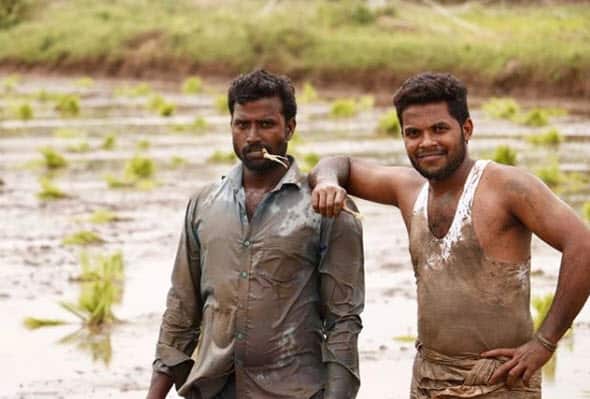 Kiki Challenge farmers