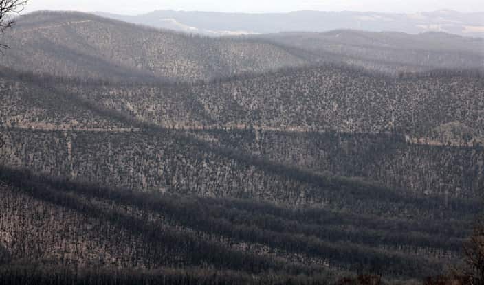 All of the hills around Kinglake are still blackened and scared by the devastating Black Saturday bushfires, Wednesday, Jan. 27. 2010. 
