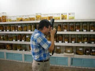 Hajime Kitamura Agent Orange Victims