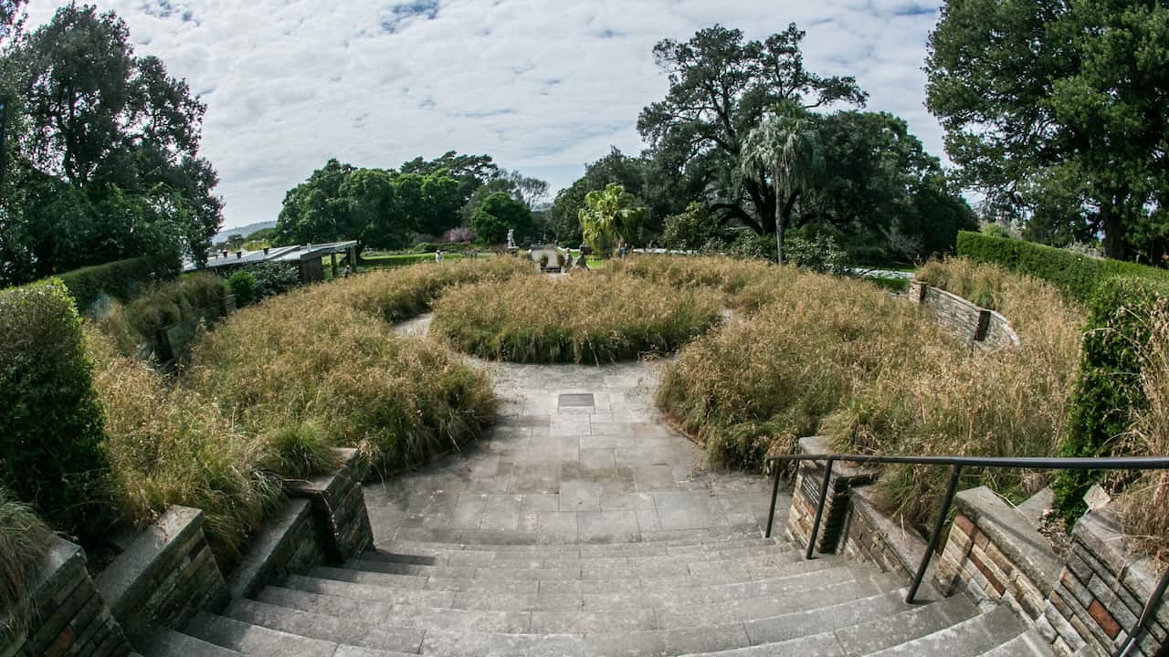barrangal dyara
