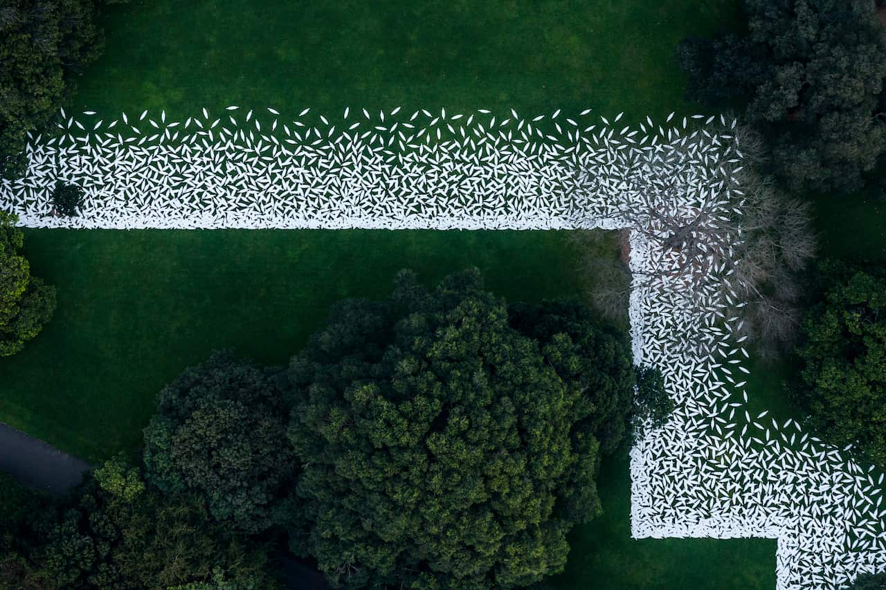 Kaldor Public Art Projects