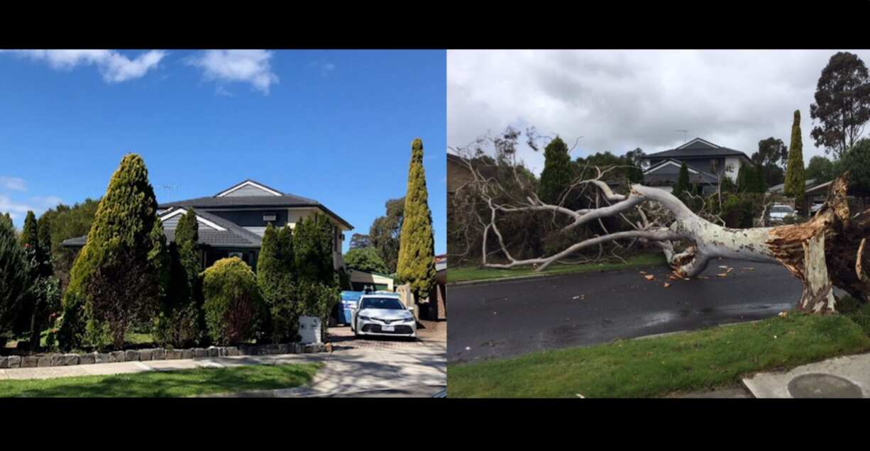 house before and after collage
