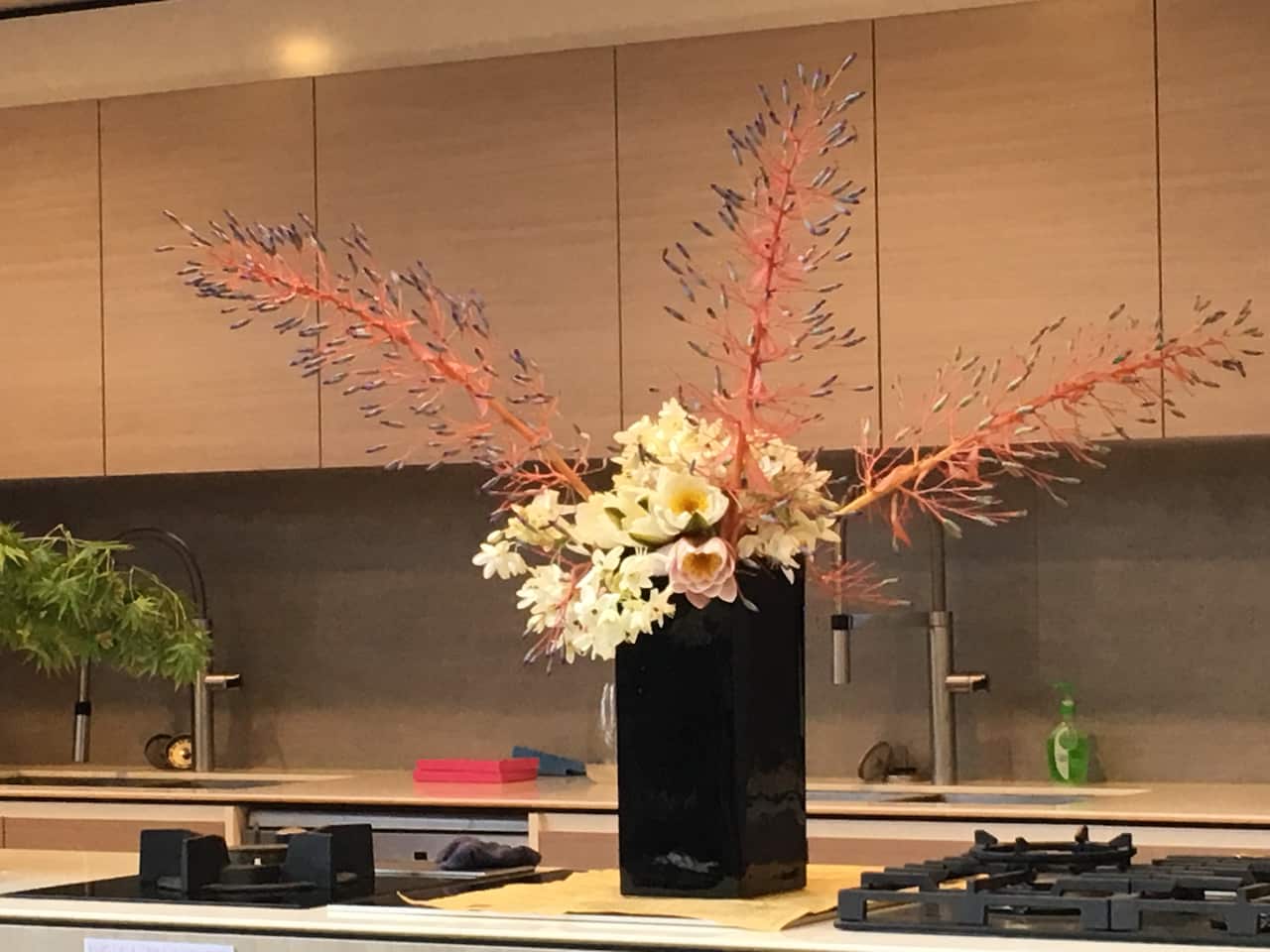 SHOGO KARIYAZAKI