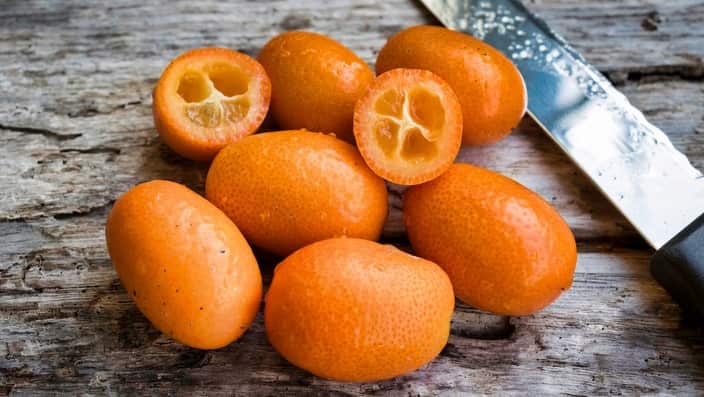 Attribution – kumquats – must read: Pixabay/nicolagiordano CC0